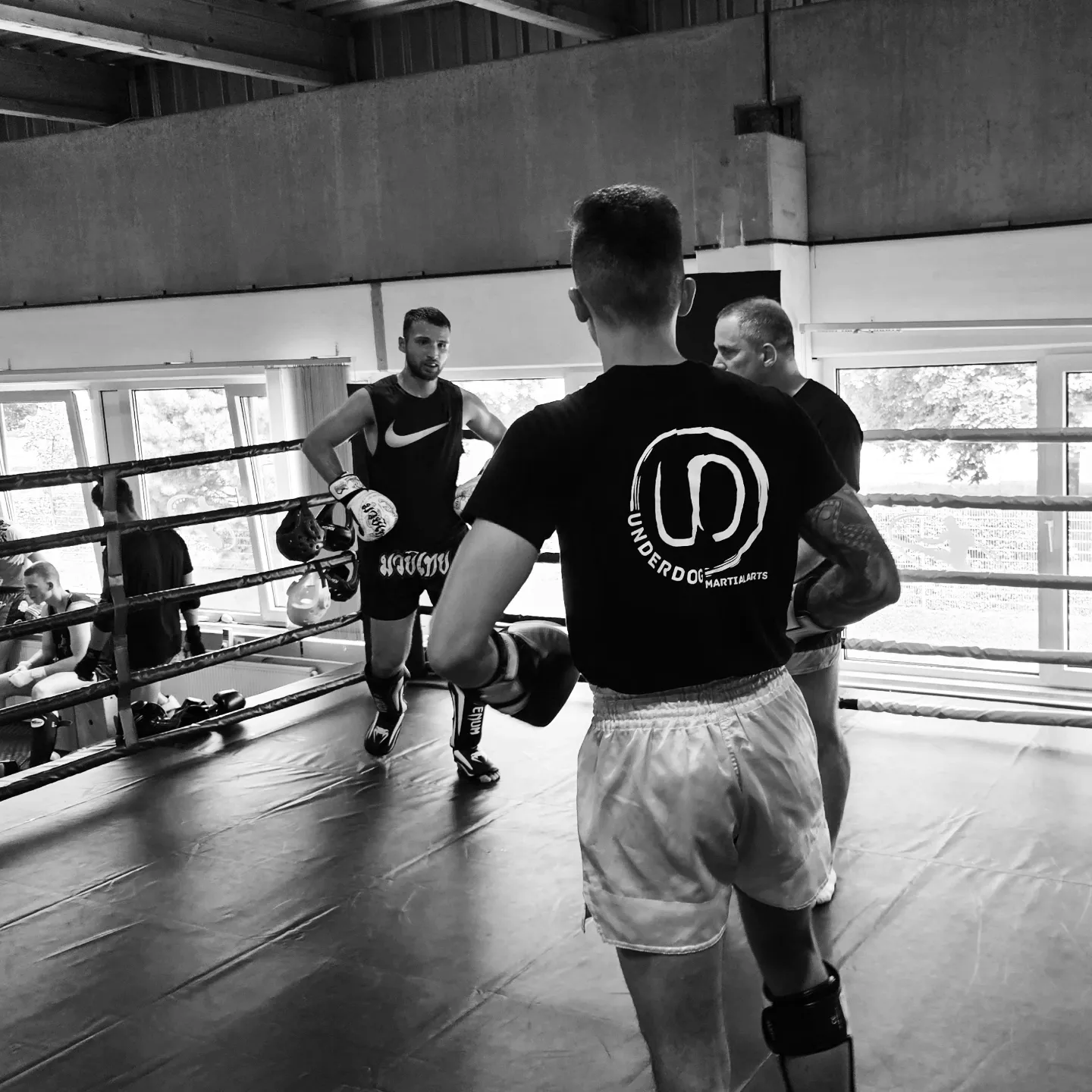 Underdog Martial Arts Bornheim — kampsport-studio i Bonn — 3